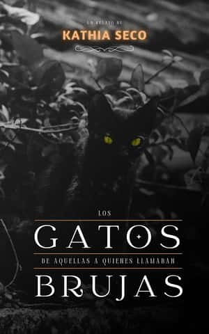 Los gatos de aquellas a quienes llamaban brujas